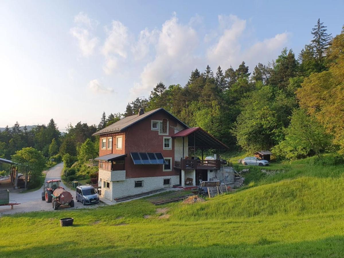 Apartma Narava Begunje pri Cerknici Kültér fotó