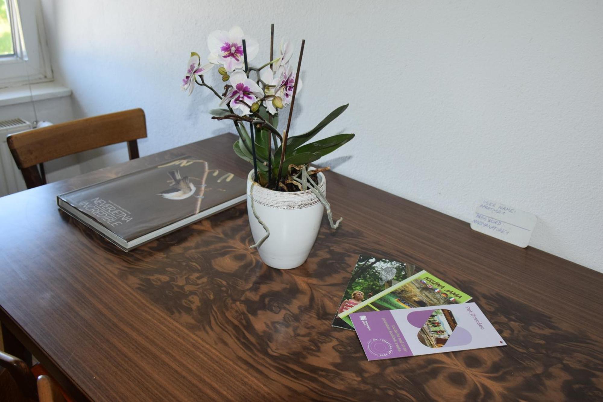 Apartma Narava Begunje pri Cerknici Szoba fotó
